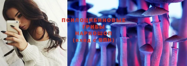mix Богородицк