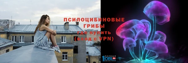 ALPHA PVP Белокуриха