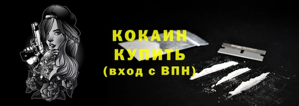 mix Богородицк