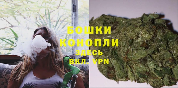 ALPHA PVP Белокуриха