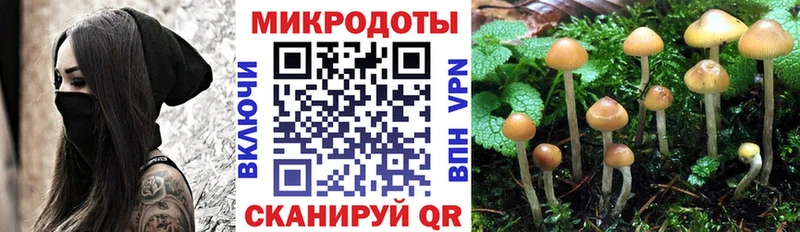 цена   Среднеуральск  Псилоцибиновые грибы Cubensis 